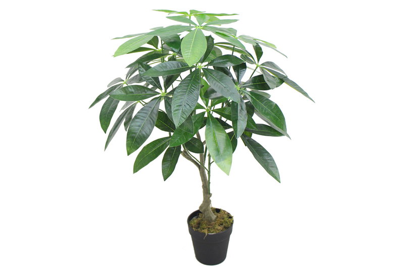 Διακοσμητική Παχίρα σε Γλάστρα Homefit 75cm