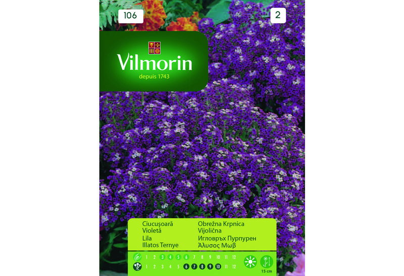 Σπόροι Vilmorin Αλυσσό Μωβ