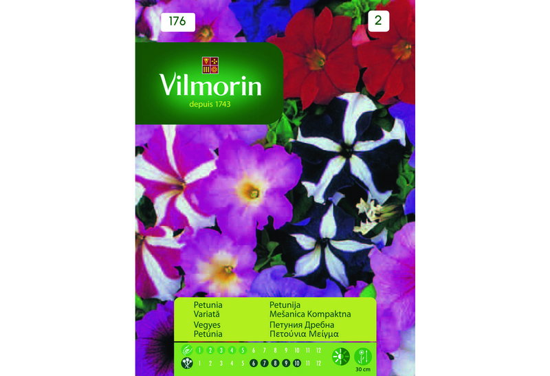 Σπόροι Vilmorin Πετούνια Μείγμα