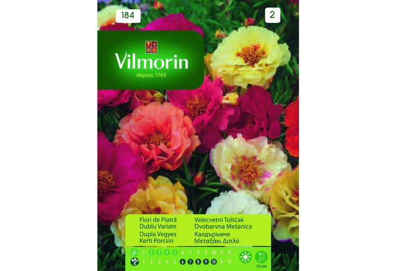 Σπόροι Vilmorin Μεταξακι Διπλό