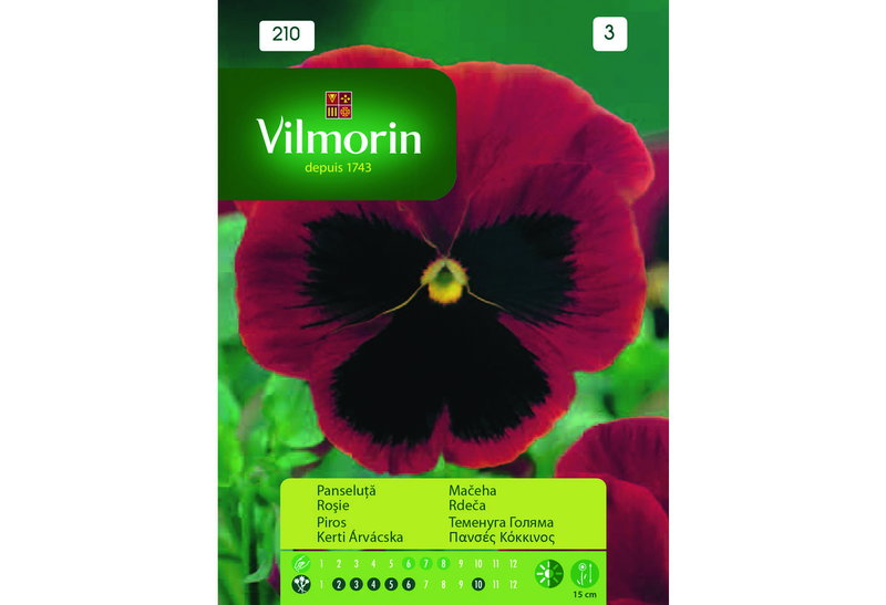 Σπόροι Vilmorin Πανσές Κόκκινος