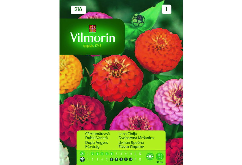 Σπόροι Vilmorin Ζίννια Πομπόν