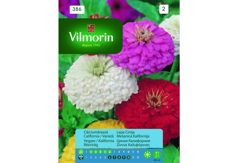 Σπόροι Vilmorin Ζίννια Γίγας 1 g