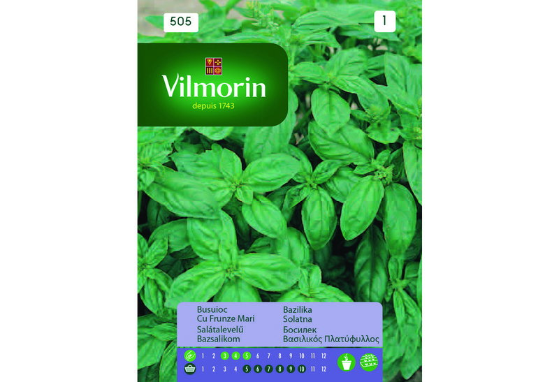 Σπόροι Vilmorin Βασιλικός Πλατύφυλλος 1 g
