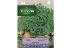 Σπόροι Vilmorin Χαιρέφυλλο ( Μυρώνι ) 1 g