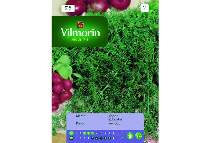 Σπόροι Vilmorin Άνηθος 5 g