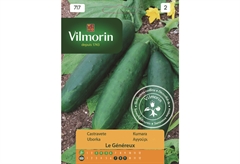 Σπόροι Vilmorin Αγγούρι 2 g