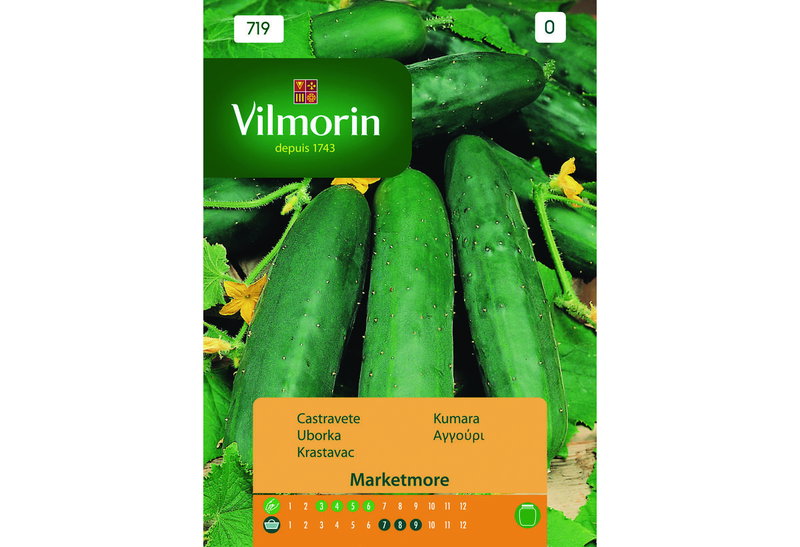 Σπόροι Vilmorin Αγγούρι Marketmore 1,5 g