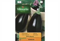 Σπόροι Vilmorin Μελιτζάνα 1 g
