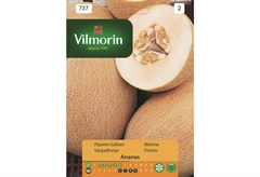 Σπόροι Vilmorin Πεπόνι 2 g