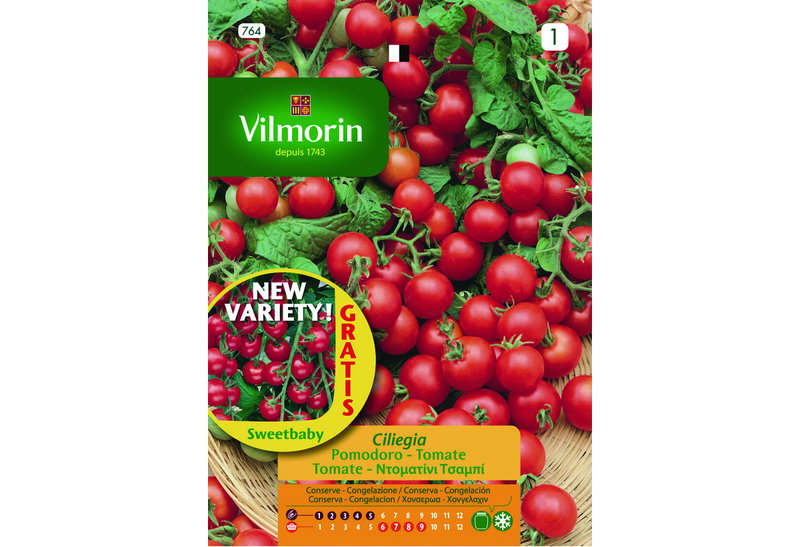 Σπόροι Vilmorin Ντοματάκι Κόκκινο