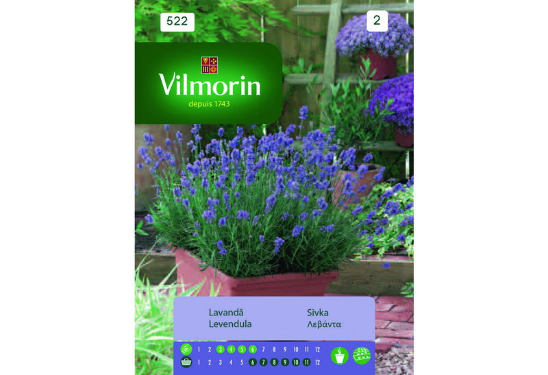 Σπόροι Vilmorin Λεβάντα 0,2 g