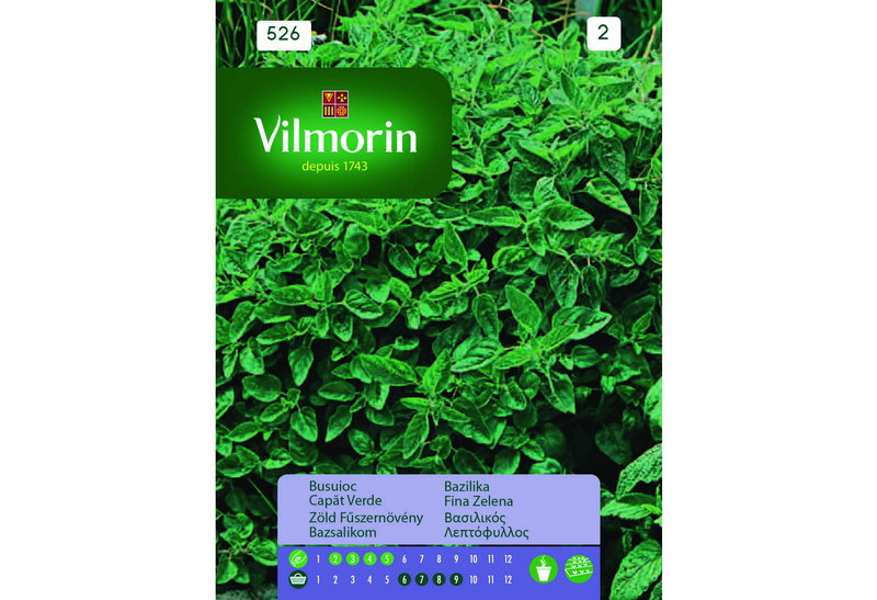 Σπόροι Vilmorin Βασιλικός 1 g