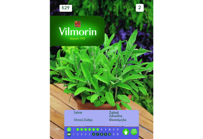 Σπόροι Vilmorin Φασκόμήλο