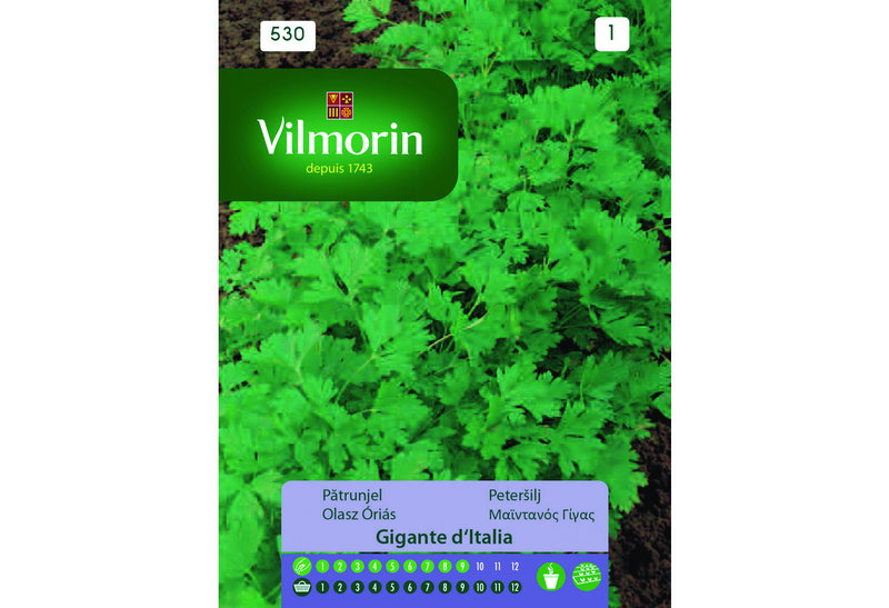 Σπόροι Vilmorin Μαϊντανός Γίγας 5 g