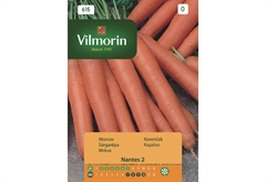 Σπόροι Vilmorin Καρότο 2 g
