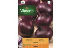 Σπόροι Vilmorin Κρεμμύδι 2 g