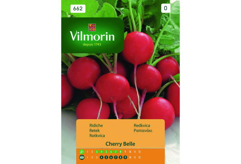 Σπόροι Vilmorin Ραπανάκι Cherry Belle