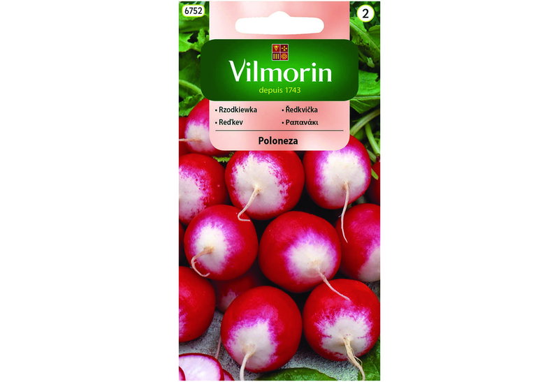 Σπόροι Vilmorin Ραπανάκι Poloneza