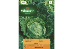 Σπόροι Vilmorin Λάχανο Κινέζικο 1 g