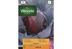 Σπόροι Vilmorin Λάχανο 2 g