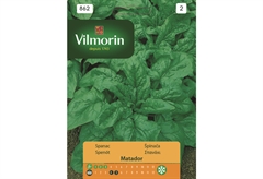 Σπόροι Vilmorin Σπανάκι 10 g