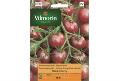 Σπόροι Vilmorin Ντοματακι ΜαύροΚόκκινο 0,2 g