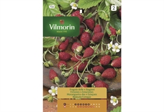 Σπόροι Vilmorin Φράουλα 0,2 g