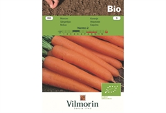 Σπόροι Βιολογικοί Vilmorin Καρότο