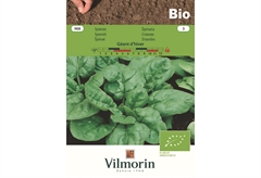 Σπόροι Βιολογικοί Vilmorin Σπανάκι 5 g