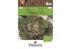 Σπόροι Βιολογικοί Vilmorin Μαρούλι Πράσινο