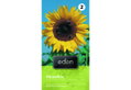 Σπόροι Eden Ήλιος Βρώσιμος 20 g