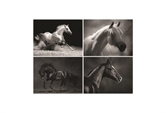 Καμβάς Ζωγραφικής Horses 30X40cm σε Διάφορα Σχέδια