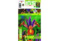 Βολβοί Φθινοπώρου HBM Bulbs Ίρις Dutch Bronze/Purple