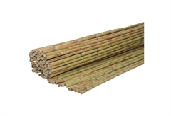 Καλαμωτή Καλάμι Ολόκληρο 100X300cm