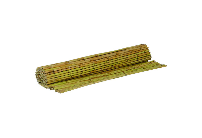 Καλαμωτή Καλάμι Ολόκληρο 150X300cm
