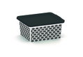 Κουτί Αποθήκευσης Πλαστικό Curver C-Box Ethnic M20xΠ17xΥ10cm 2lt Μαύρο