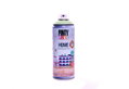 Σπρέι Γενικής Χρήσης Pinty Plus Home 400mL Vintage Green