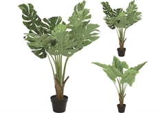 Διακοσμητικό Πράσινο Φυτό 90cm σε Κασπώ σε Διάφορα Σχέδια