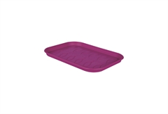 Δίσκος Βάσης Θερμοκηπίου Green Basics Cherry 36X26cm Φούξια