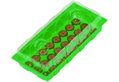 Θερμοκήπιο Jiffy 18,7X39,5X10,5cm