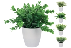 Πράσινο Φυτό Πλαστικό σε Κασπώ σε Διάφορα Σχέδια 16cm