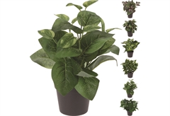 Πράσινο Φυτό Πλαστικό σε Κασπώ σε Διάφορα Σχέδια Φ.20X23cm