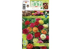Βολβοί Φθινοπώρου HBM Bulbs Ranunculus Mixed