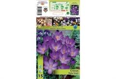 Βολβοί Φθινοπώρου HBM Bulbs Κρόκος Bot Ruby Giant