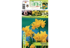 Βολβοί Φθινοπώρου HBM Bulbs Νάρκισσος Mini Tete-A-Tete