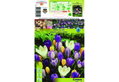 Βολβοί Φθινοπώρου HBM Bulbs Κρόκος Large Mixed