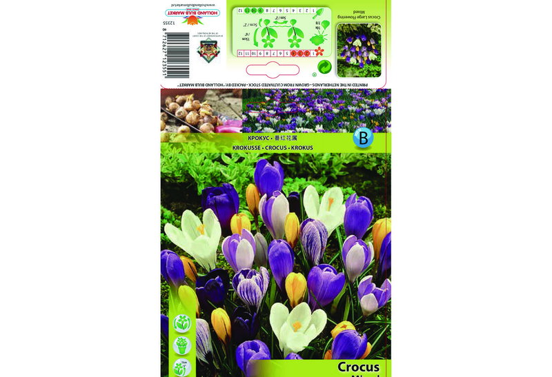Βολβοί Φθινοπώρου HBM Bulbs Κρόκος Large Mixed