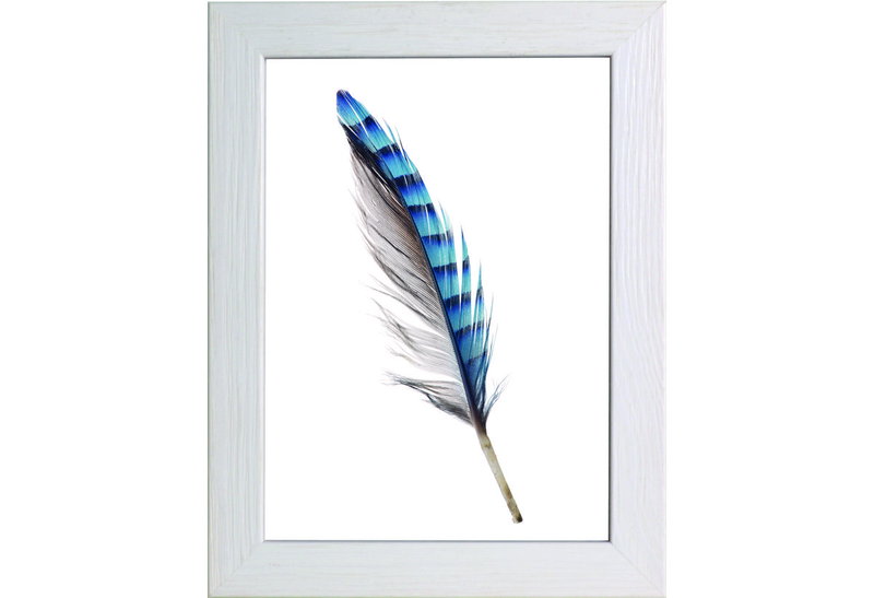 Κορνίζα Newman 50X70cm Λευκή