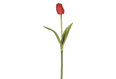 Διακοσμητικό Λουλούδι Τουλίπα 47cm Κόκκινη